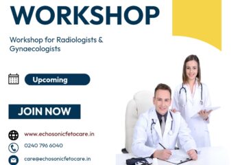 Fetal Biometric Evaluation Workshop